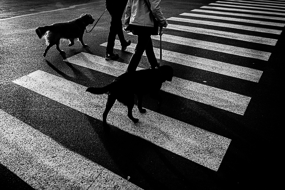 lines concept street photography