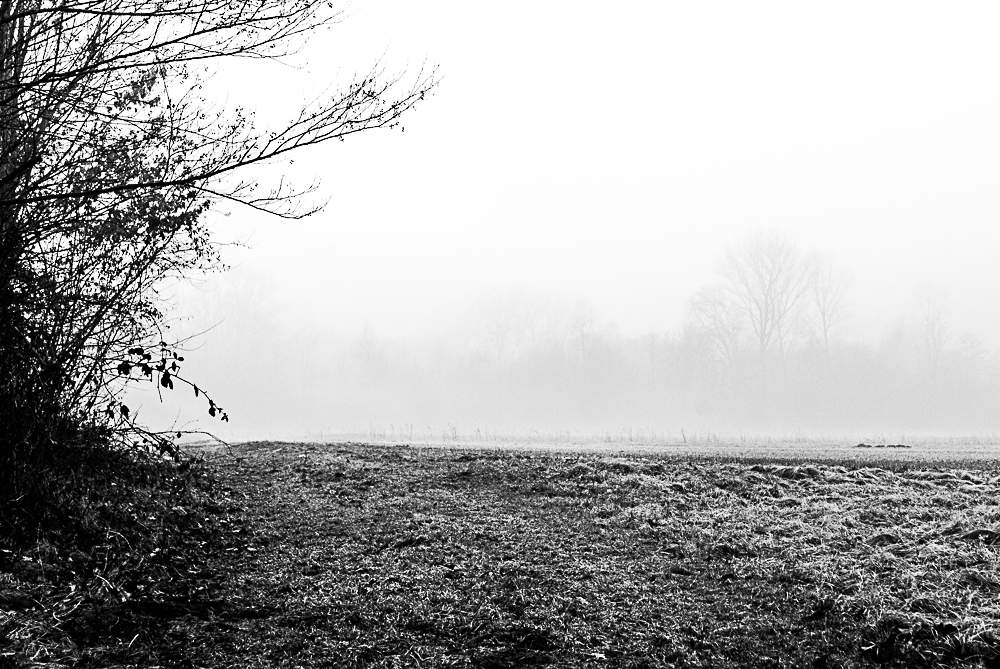mattine di nebbia marco espertini blog