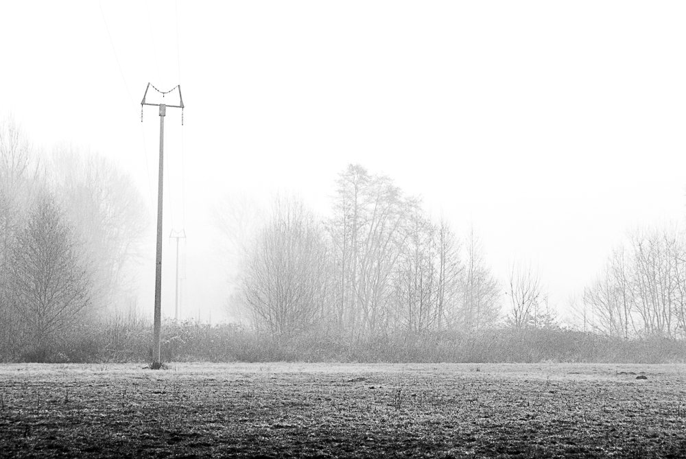 mattine di nebbia marco espertini blog